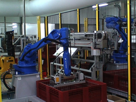 Packaging - Robotic boxing end of line
